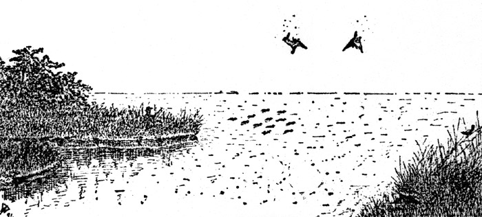Double on ducks at Clear Lake - 5 Oct 1902 OWH.