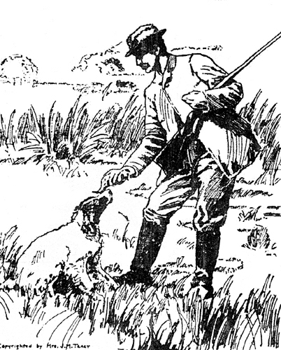 Snipe Shooting—The Jacks Have Gone hunter dog and game.
