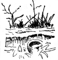 Song of the western brook paragraph sketch.