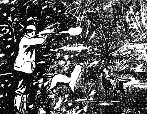 Thrill of Hunting Quail—hunter and two dogs afield.